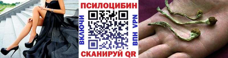 наркотики  Карабулак  Галлюциногенные грибы Psilocybe 
